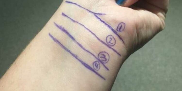 гривните на Венера