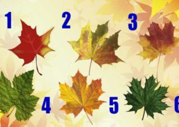 изберете есенно листо