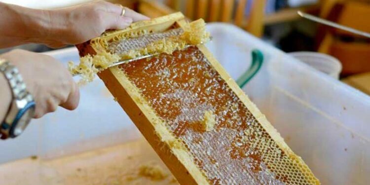 ползата от пчелен мед