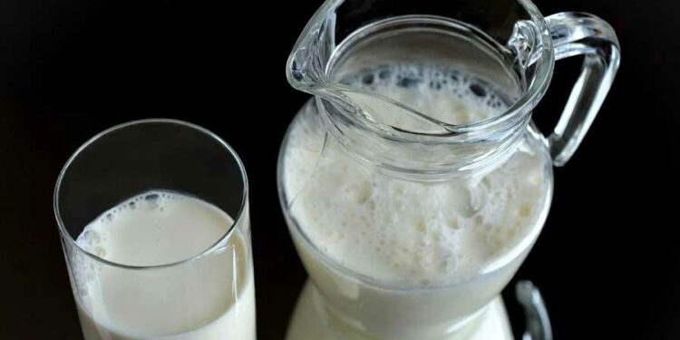 в Северна Америка