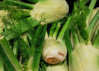 чай от целина