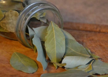 дафинов лист