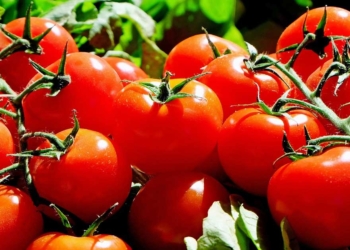 домати