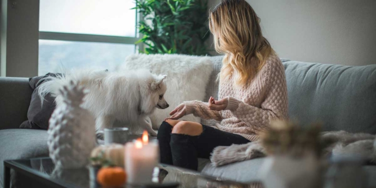 подреден дом