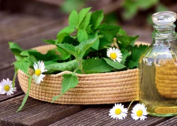 млада коприва