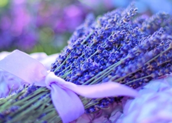 стайни растения