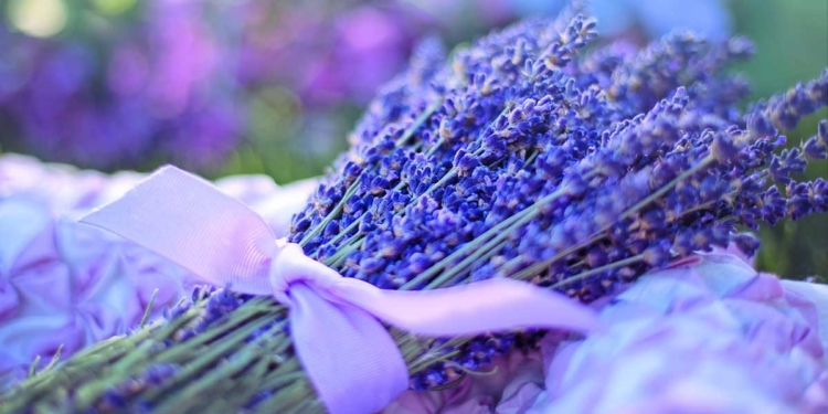 стайни растения