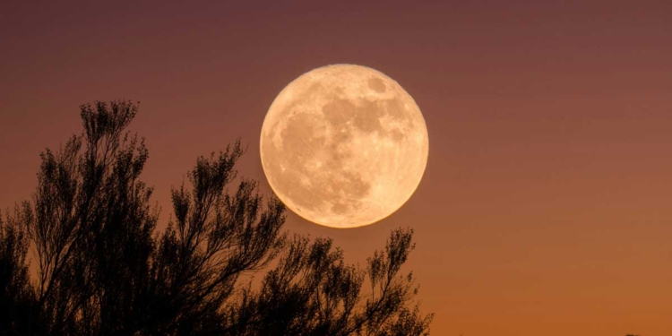 кървава луна