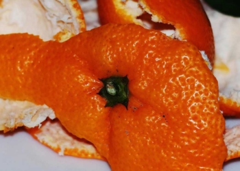 портокалови кори