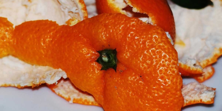 портокалови кори