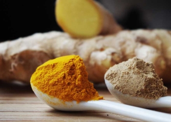 джинджифил