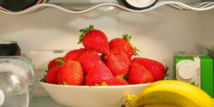 замразени храни