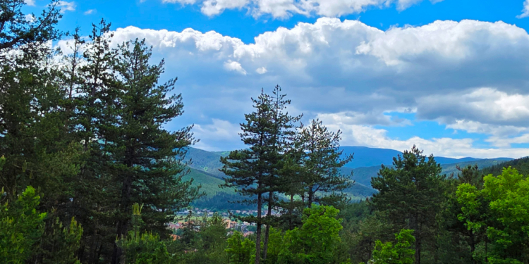 хотел Олимп