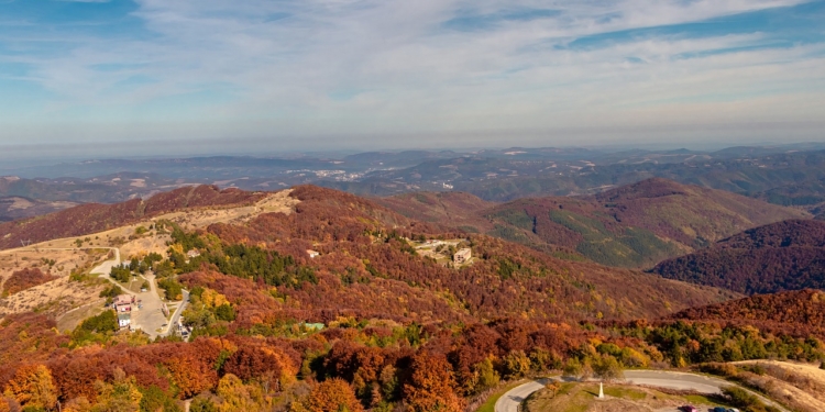 професор Рачев