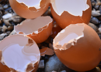 яйчените черупки