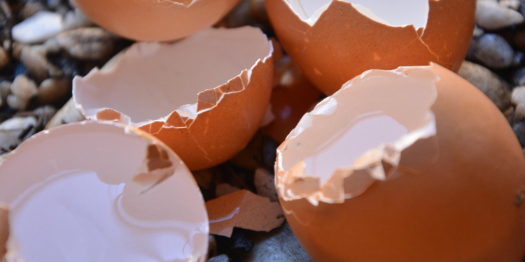 яйчените черупки